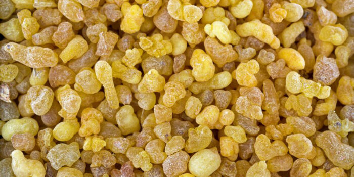 Frankincense or Boswellia